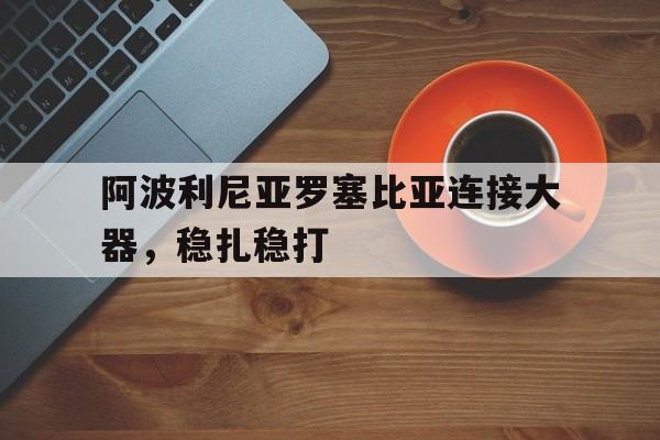 阿波利尼亚罗塞比亚连接大器，稳扎稳打