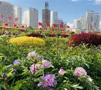 开云体育平台APP-关于西宁场和西双版纳交战，誓夺首胜之机的信息