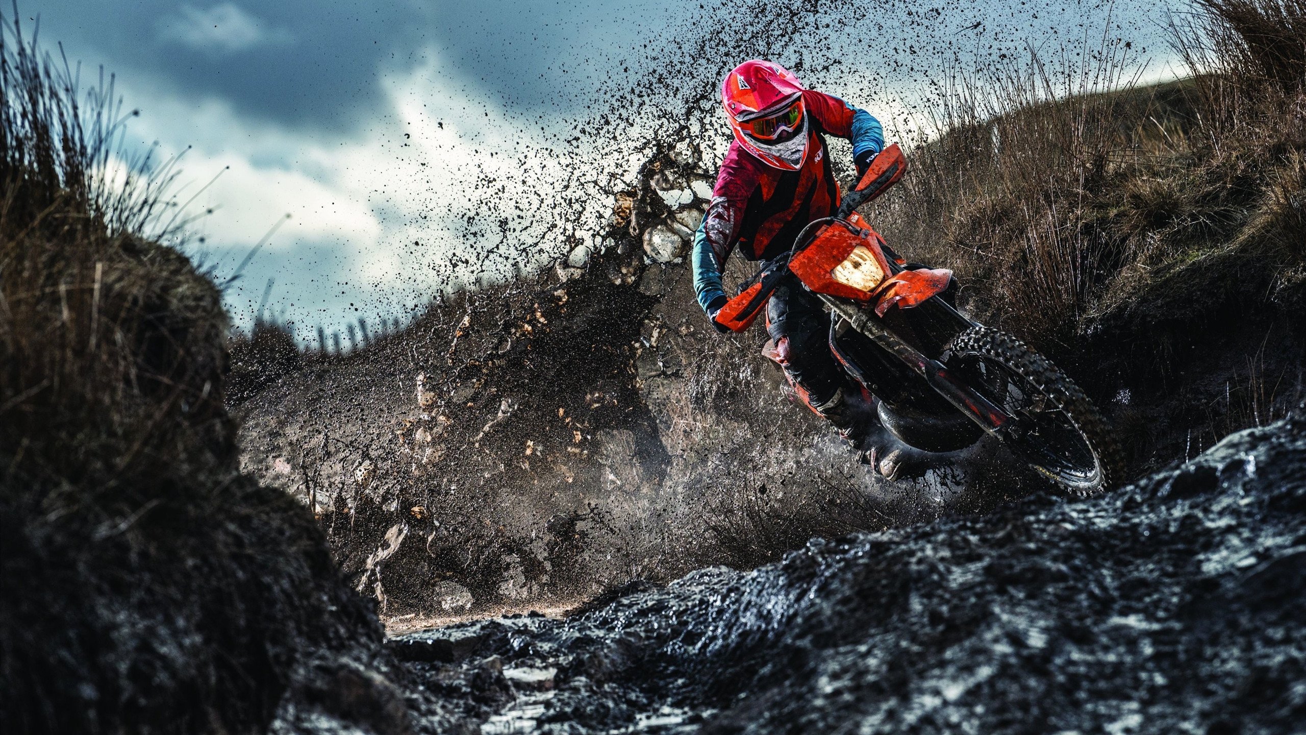 新王登基之夜，旧神未眠，锡安点燃的世界排名争夺战