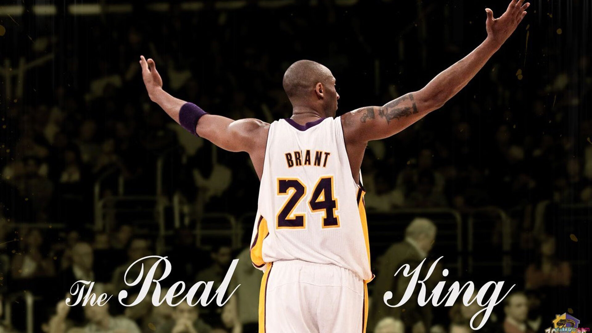 开云体育官方网站-热带风暴席卷亚洲羽坛，泰国女队掀翻韩国王朝，戴资颖用纪录重写天花板